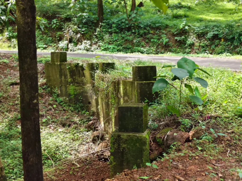 848b66e6-c594-403c-b793-ef53eaf1f2e2