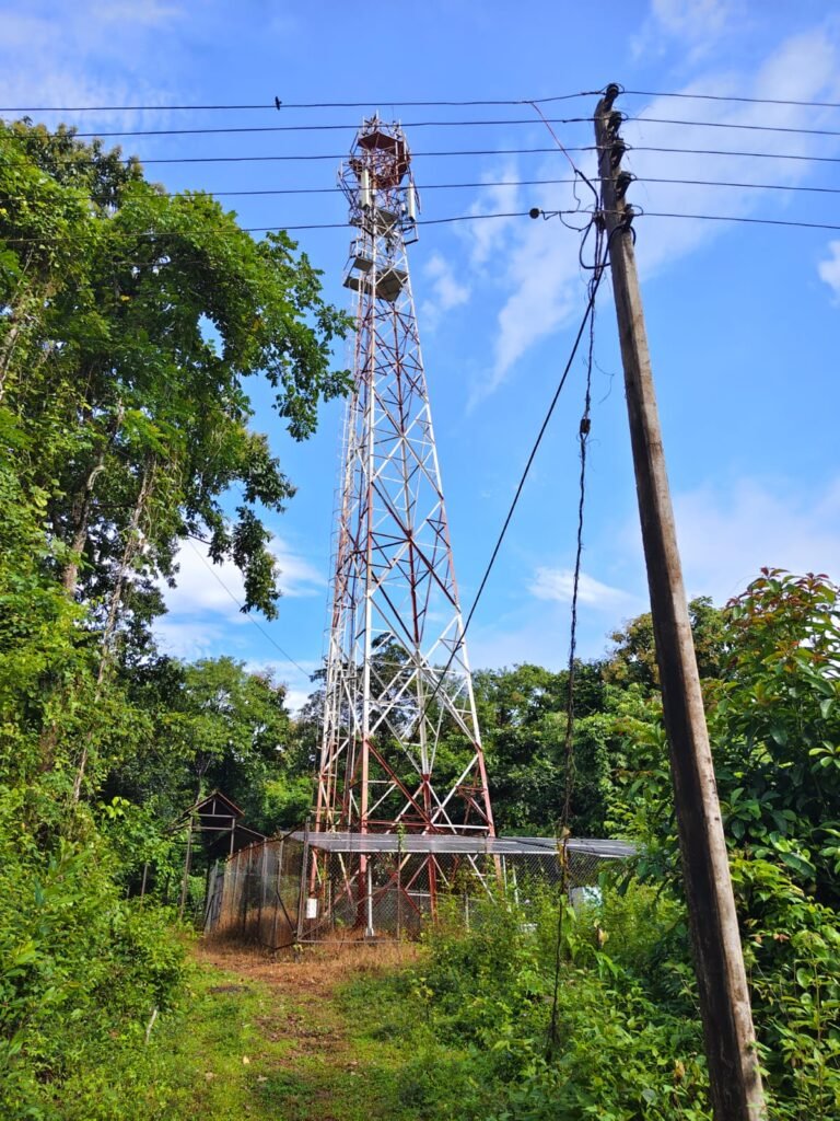 WhatsApp Image 2025-10-17 at 8.34.35 PM (1)