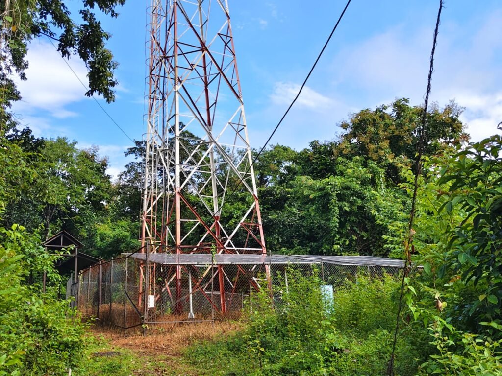 WhatsApp Image 2025-10-17 at 8.34.35 PM