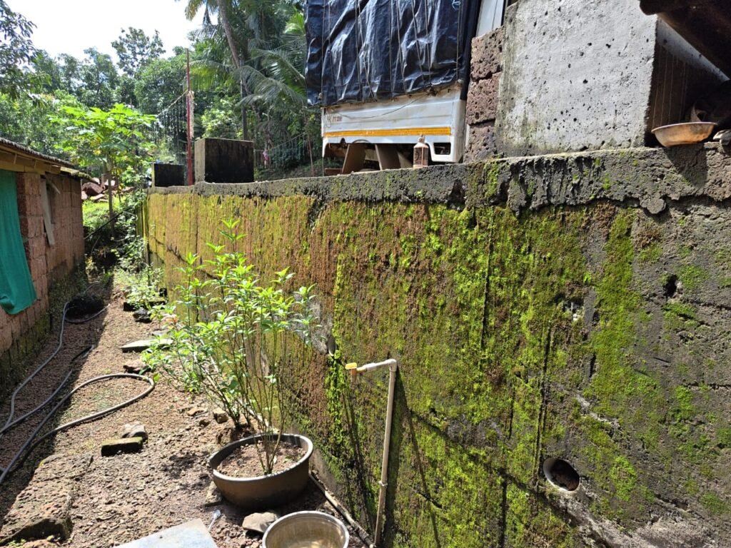 WhatsApp Image 2025-10-28 at 7.48.00 PM