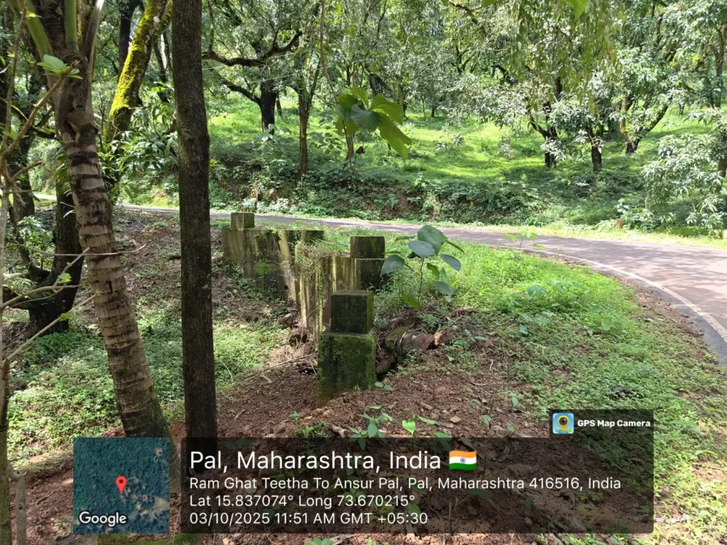 ebf19f7d-4255-497b-b2ce-a3bafa283333