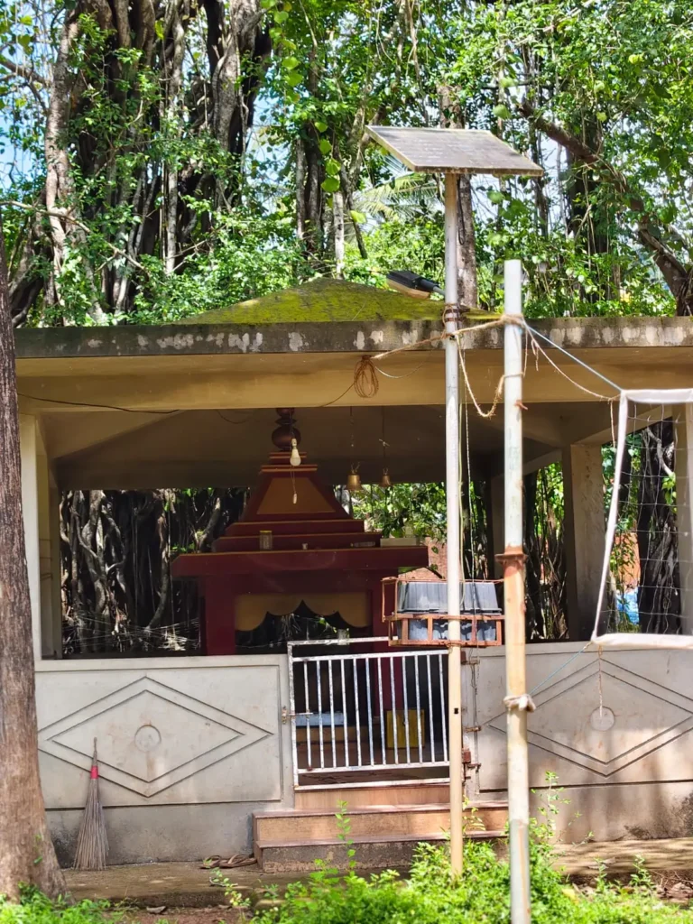 f80e9099-3a67-4e90-95a5-c59c171adaa0