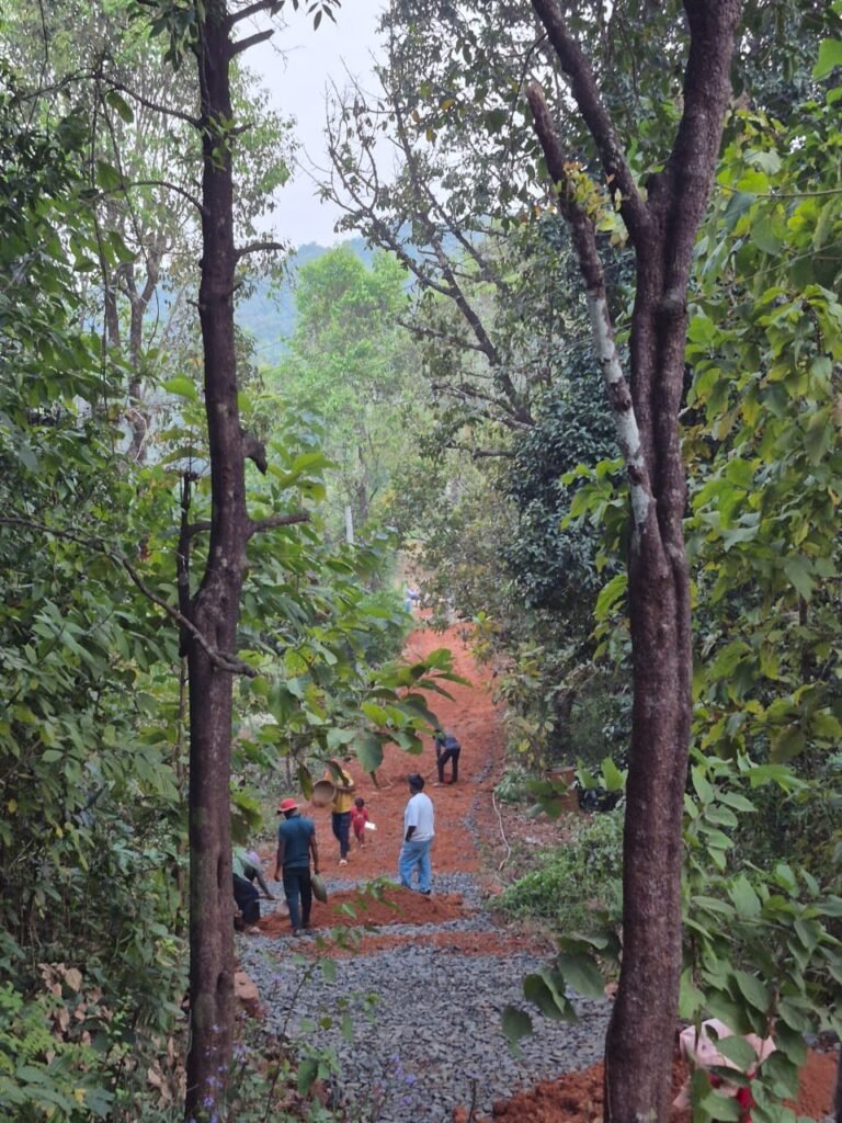 467cda9d-6b95-45f7-b803-8a793dd4f5c1