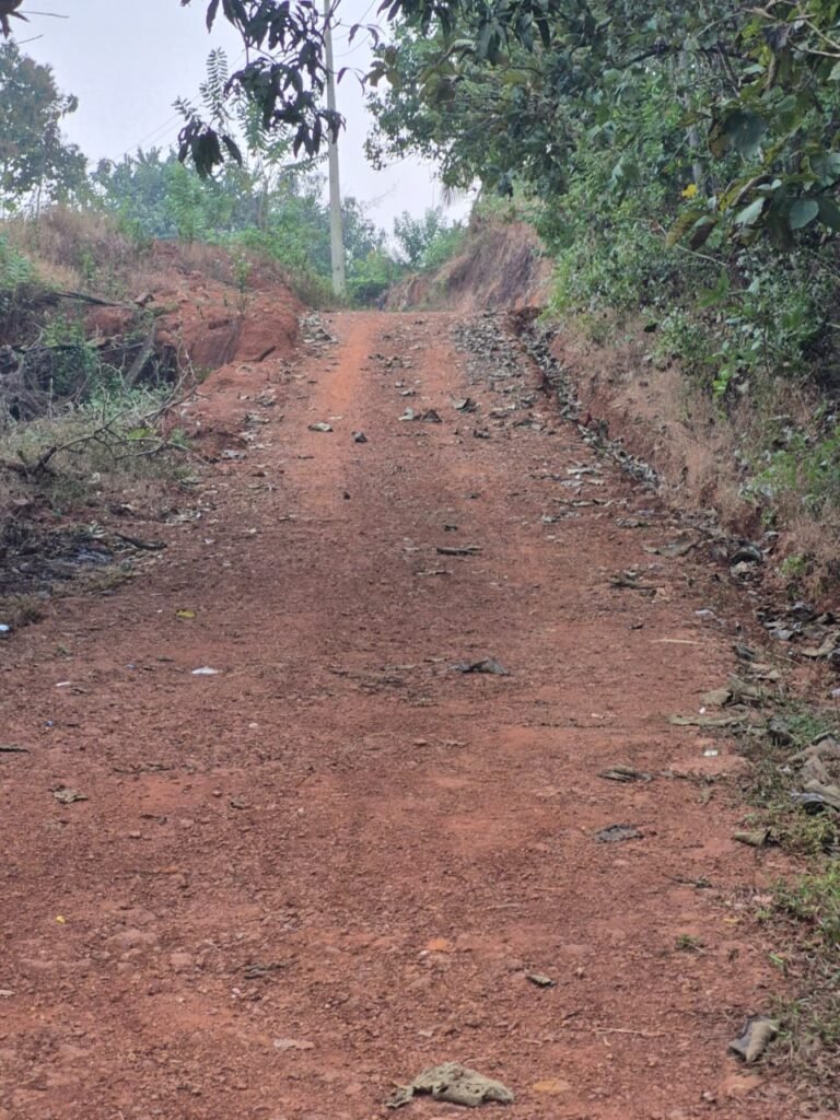 7364ad9e-824c-43d2-a679-d7b83c1f57b5