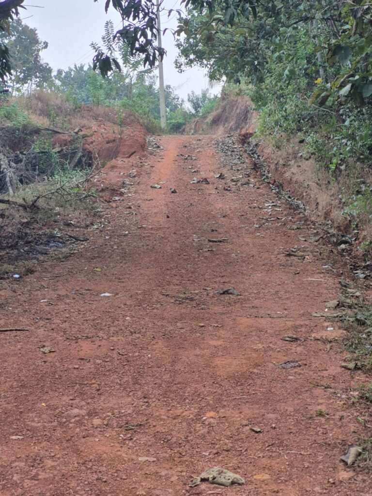 8895f408-6e4e-4da1-8312-3fa1369a2181