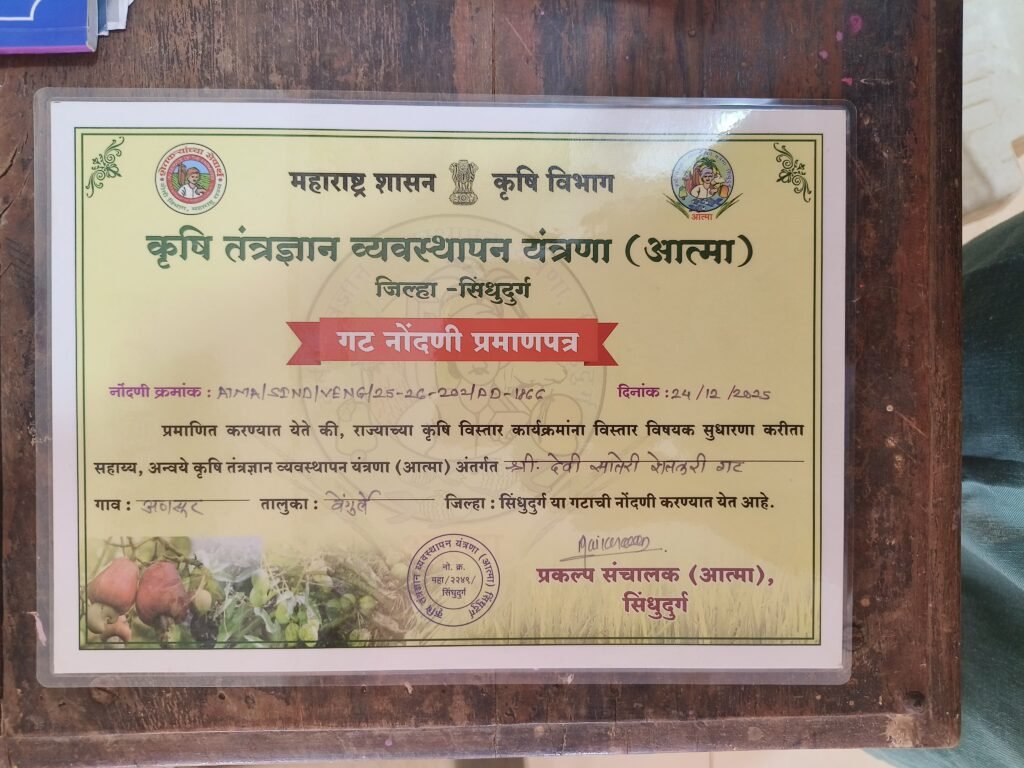 WhatsApp Image 2026-04-01 at 12.54.38 (1)