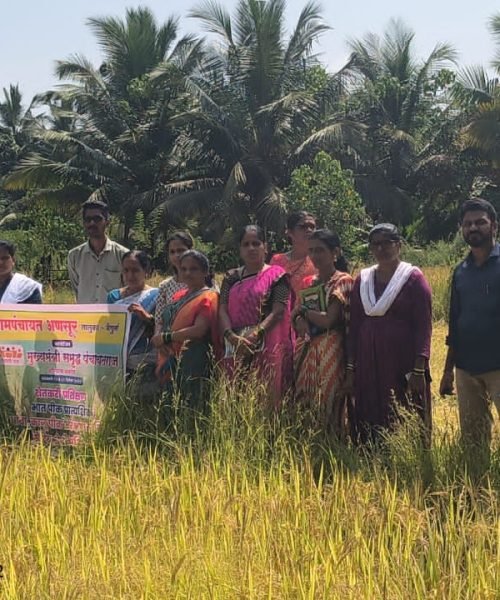 WhatsApp Image 2025-10-30 at 7.31.29 PM